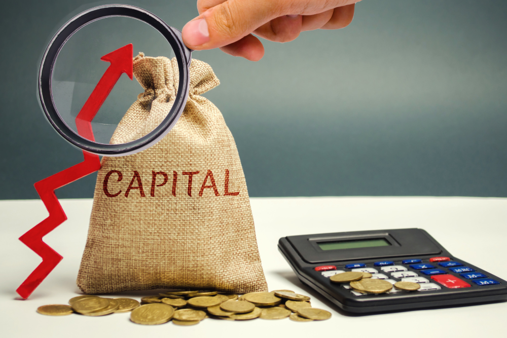 Capital Preservation